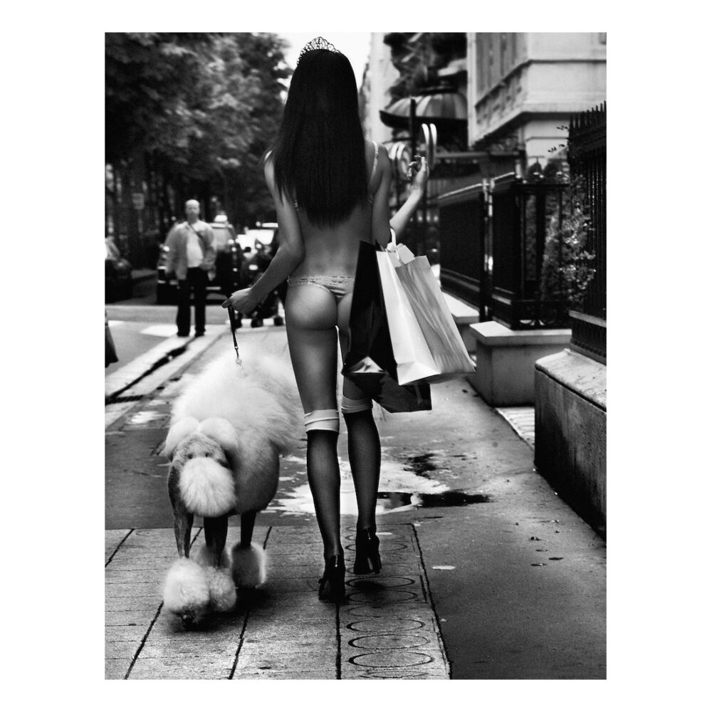FINE ART_LYON