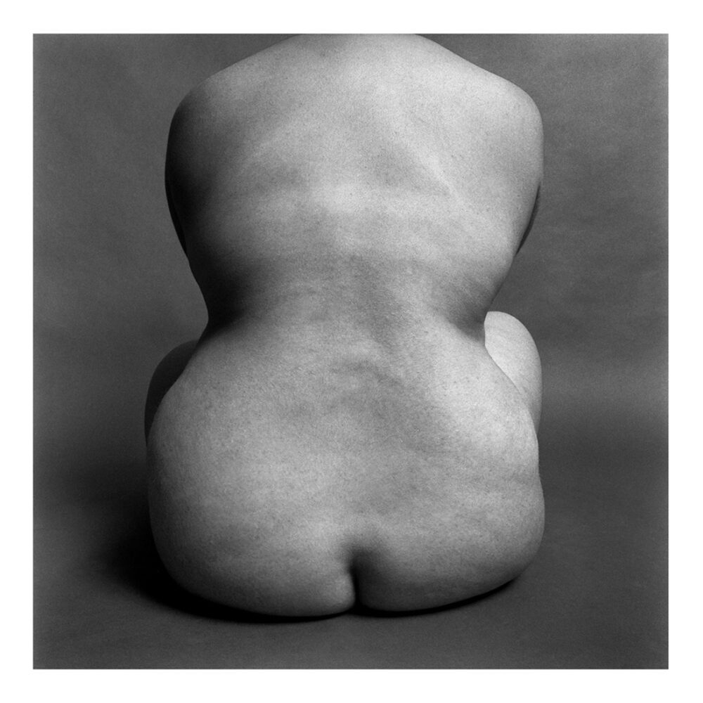 FINE ART_RATINOKO